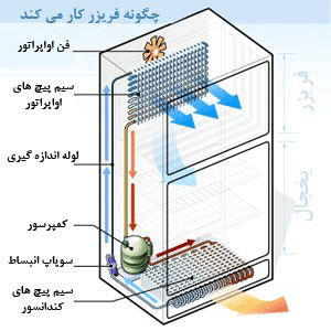 بررسی اجزای داخلی یخچال